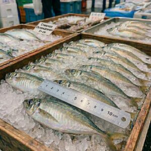 Ставрида охлажденная