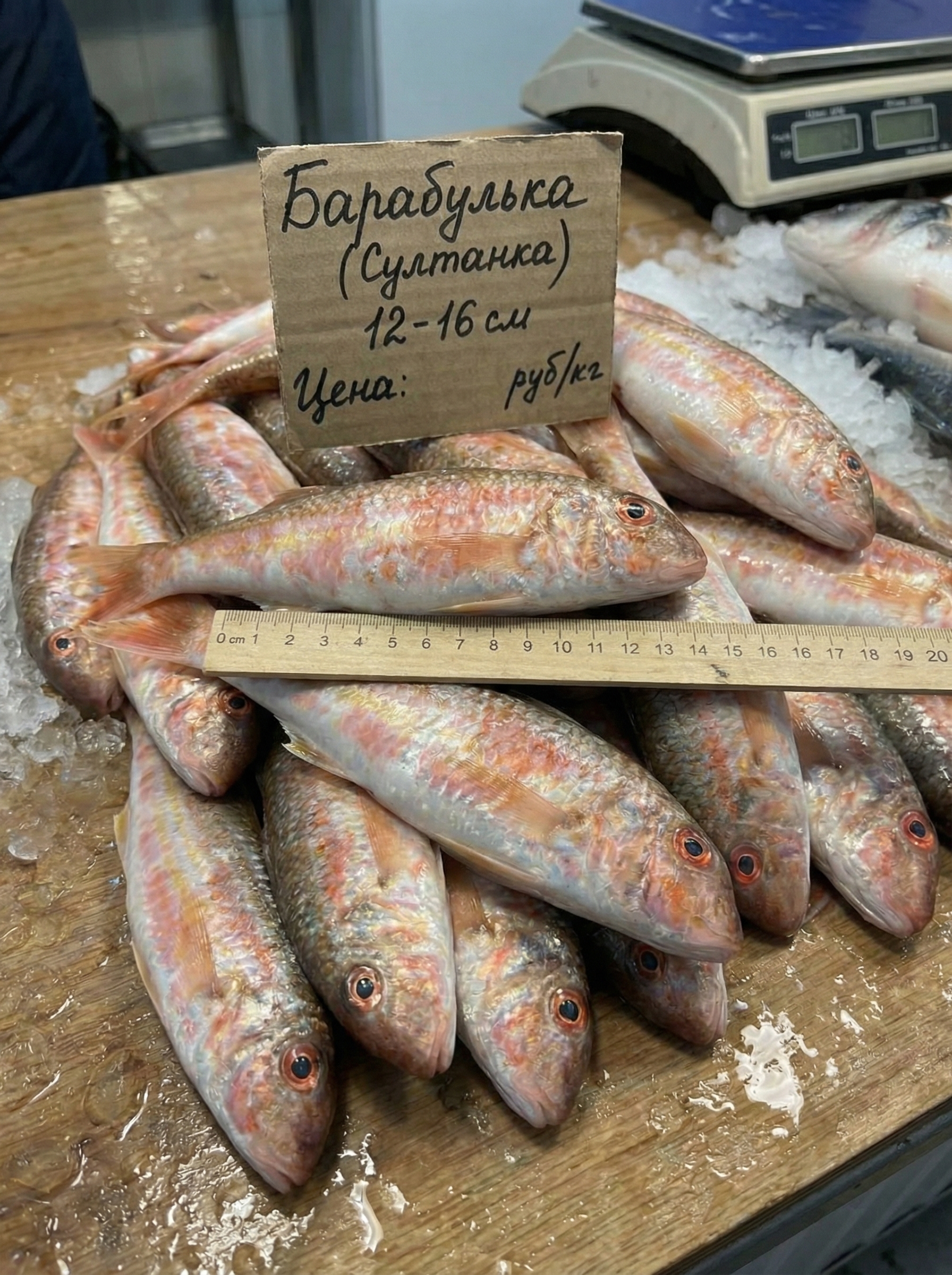 Султанка