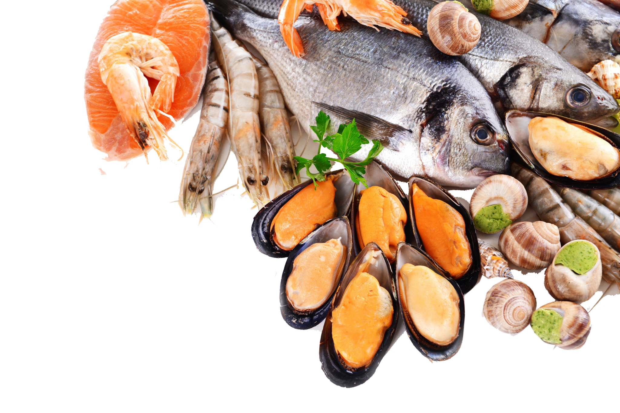 Fish product. Морепродукты. Рыбные продукты. Мор рыбы. Красивые морепродукты.