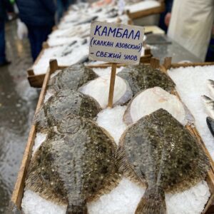 Камбала (Калкан Азовский)