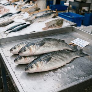 Кефаль (Лобан)